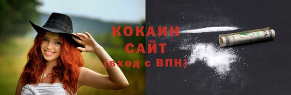молекула духа Горняк