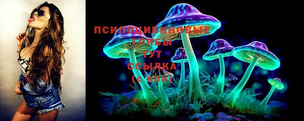 молекула духа Горняк