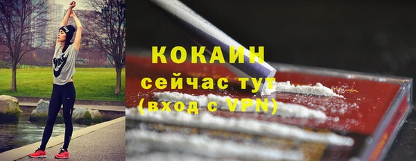молекула духа Горняк